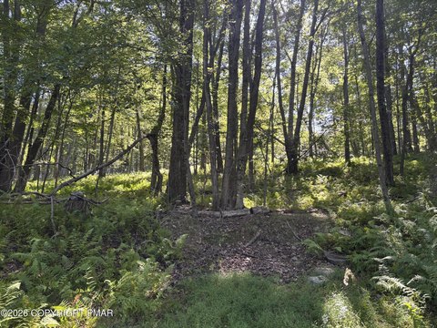 Land, Pocono Lake, PA