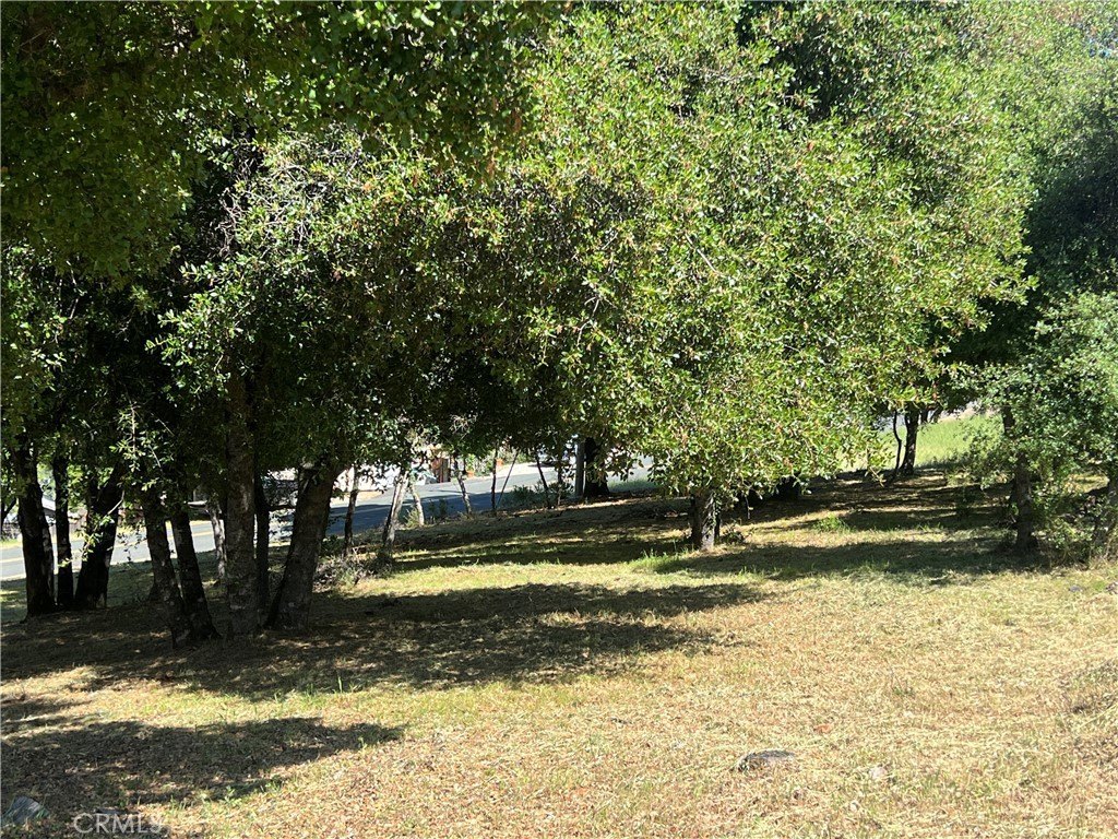Picture 12