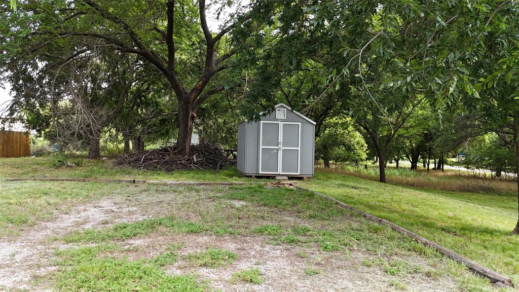 Picture 8