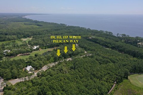 Land in St James Bay