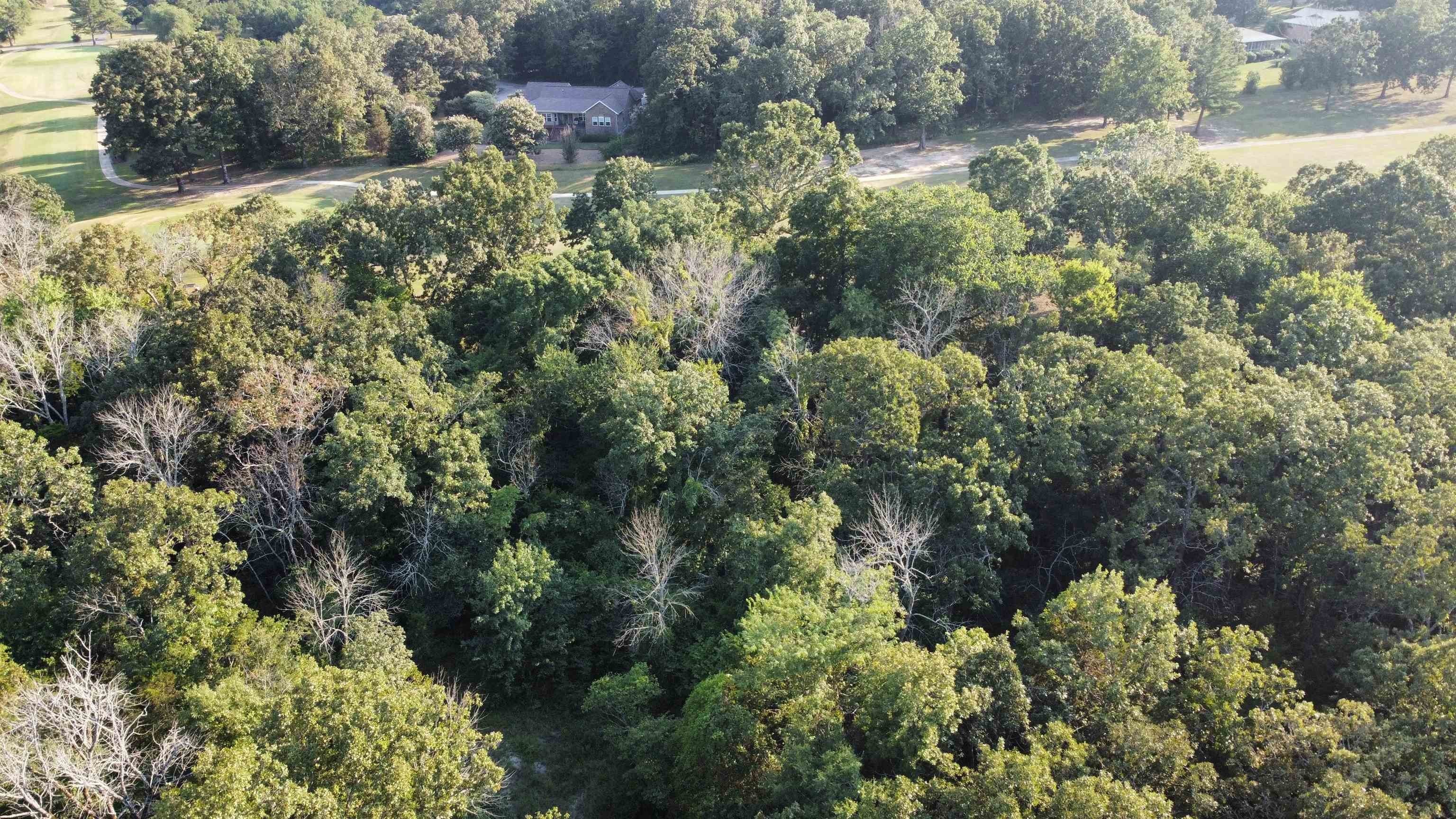 Golf Course Lot in Arkansas