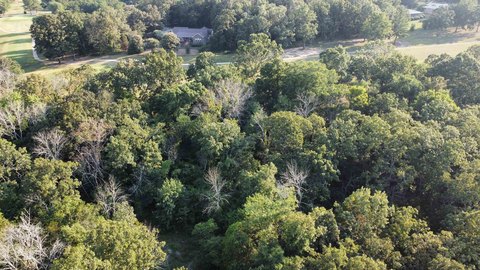 Golf Course Lot in Arkansas