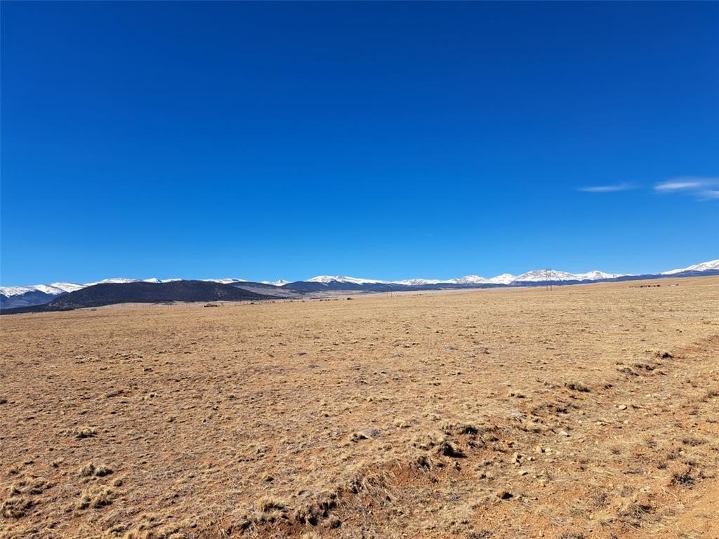 Picture 23