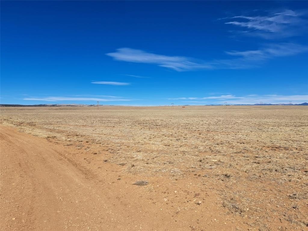 Picture 20