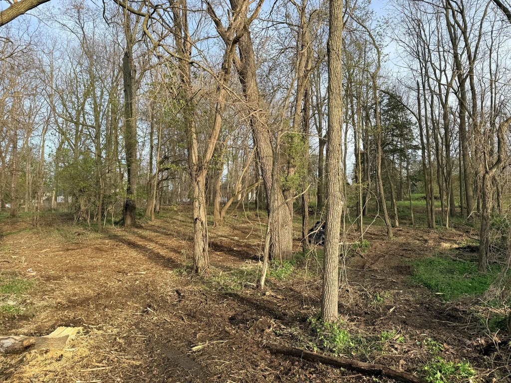 Picture 11