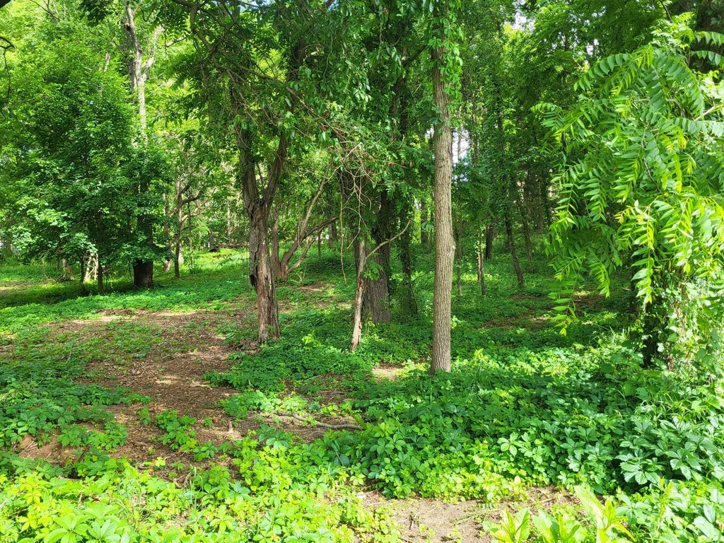 Picture 6