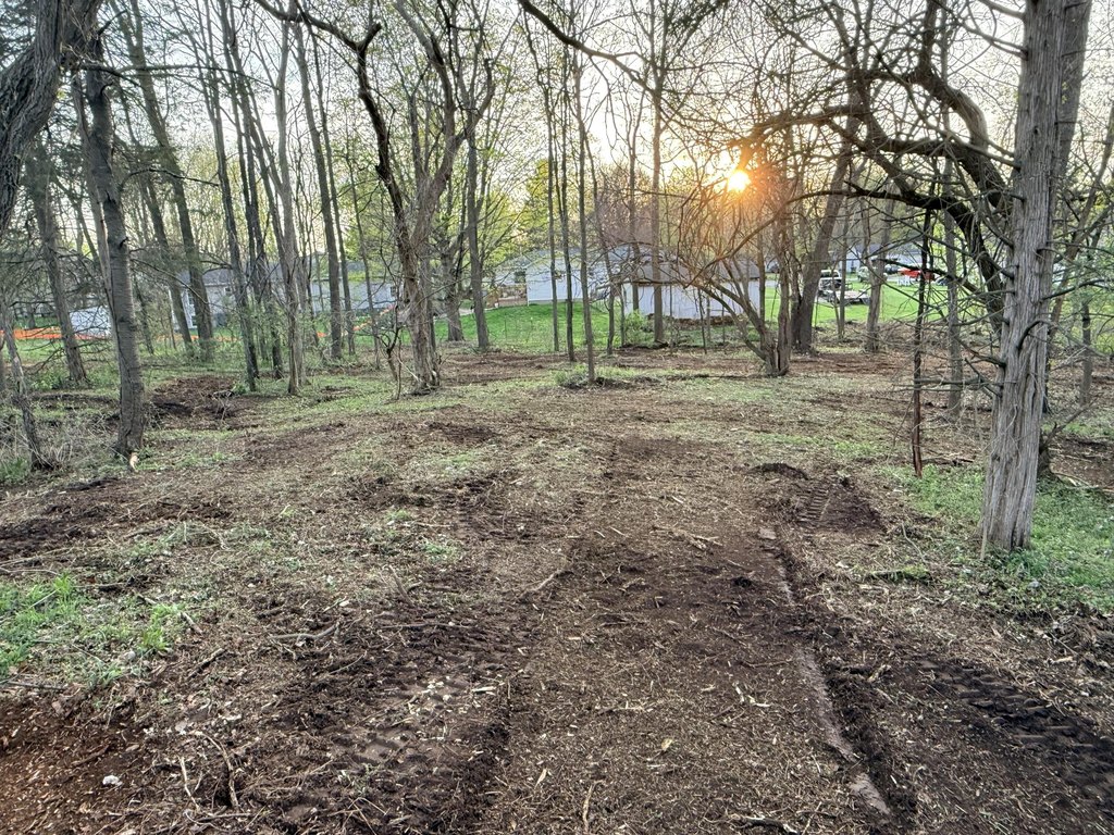 Picture 8