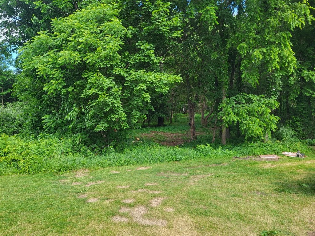 Picture 7