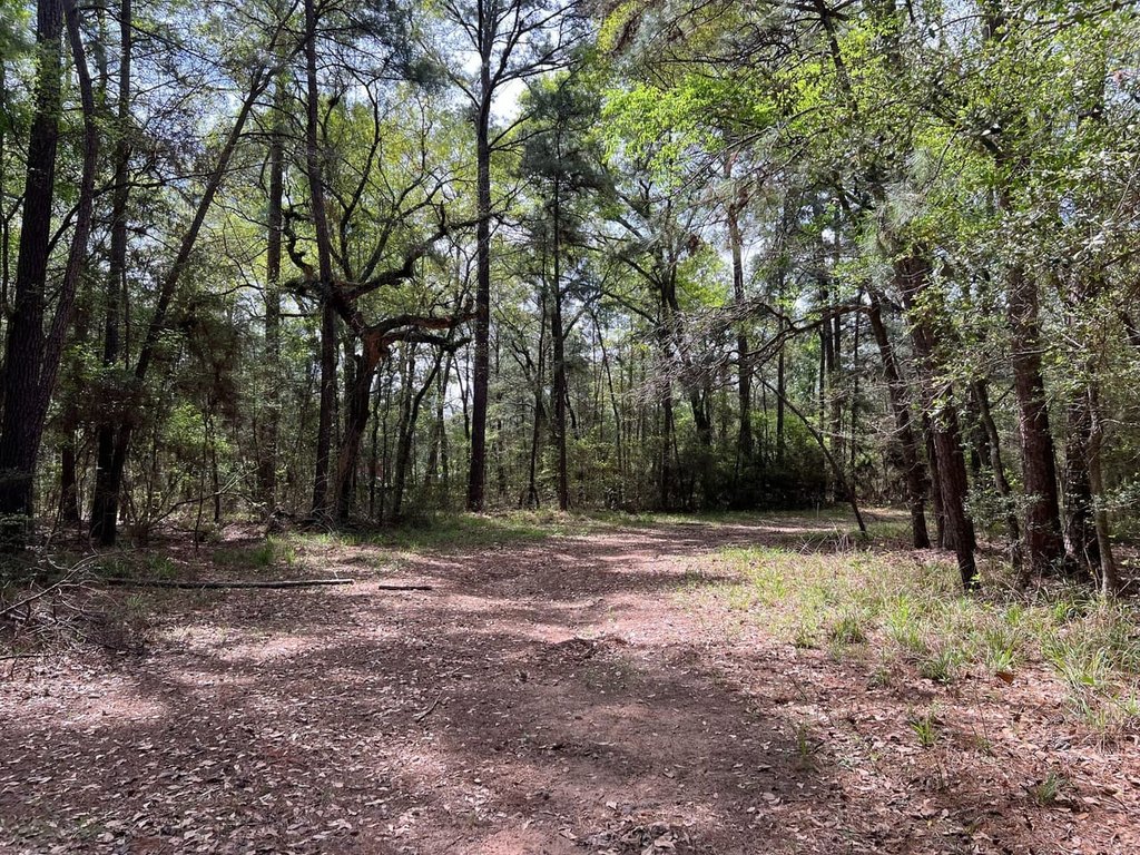 Picture 29