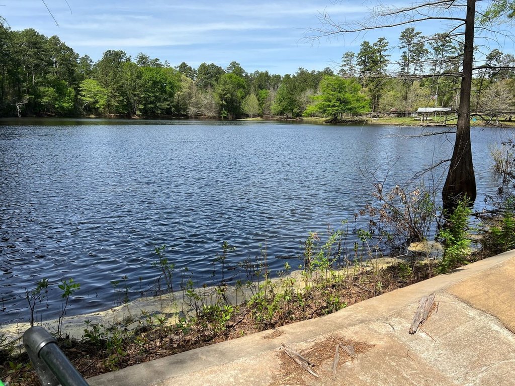 Picture 17