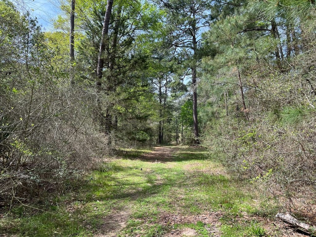 Picture 18