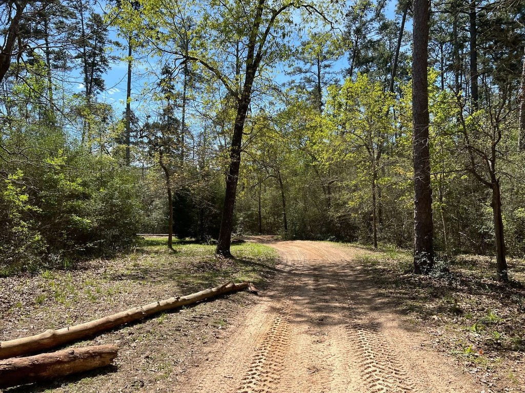 Picture 20