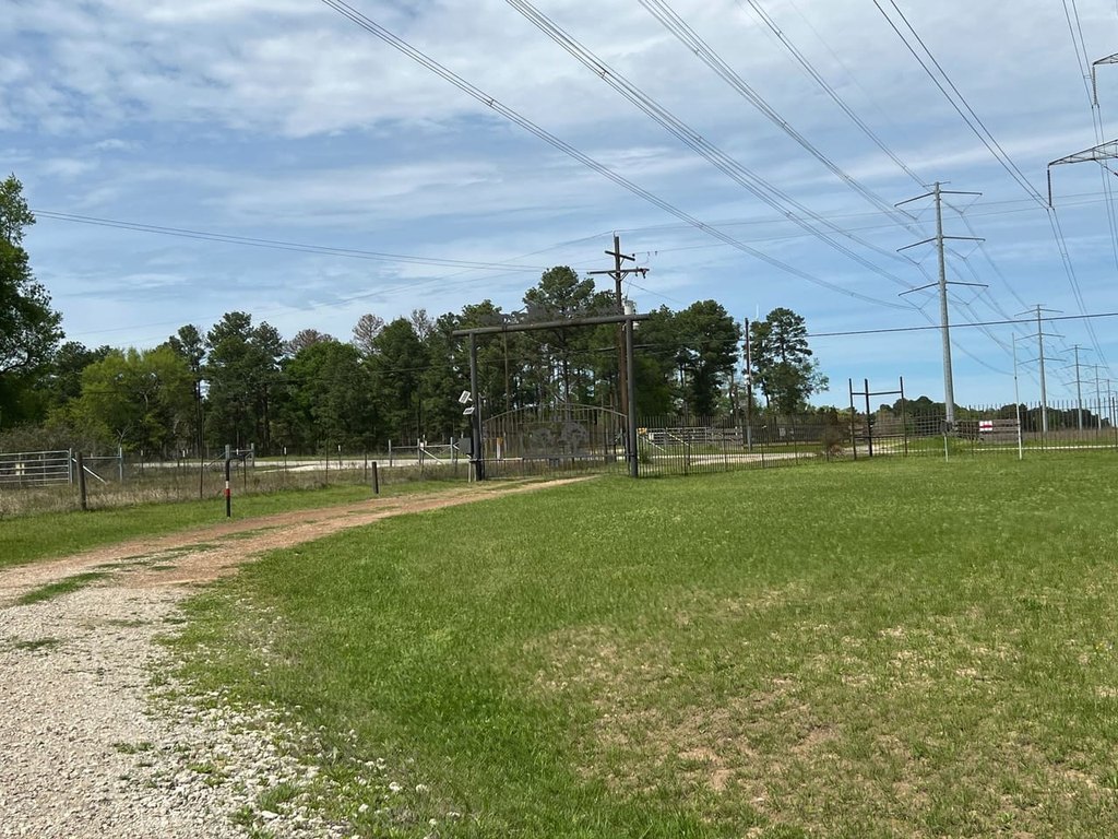Picture 33