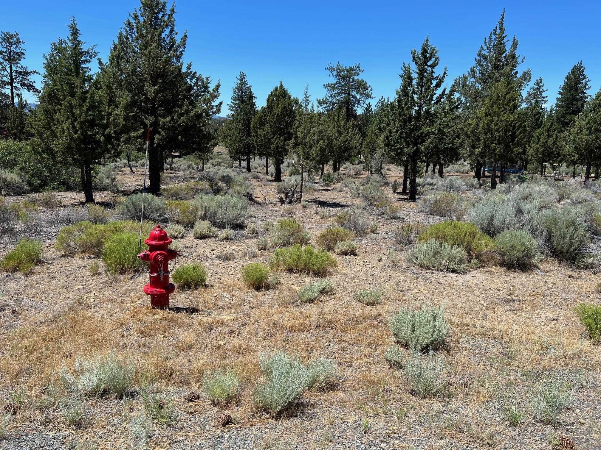 Residential Lot in Weed, CA