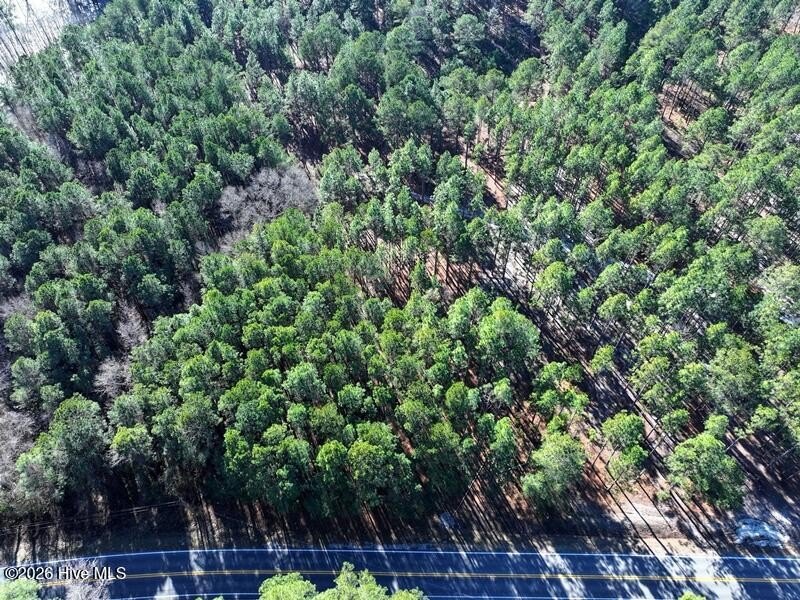 Heavily Wooded Residential Lot