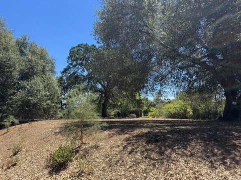 Land, Other - Angels Camp, CA