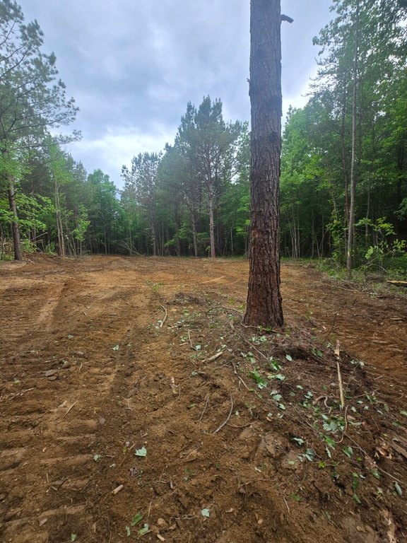 Picture 25