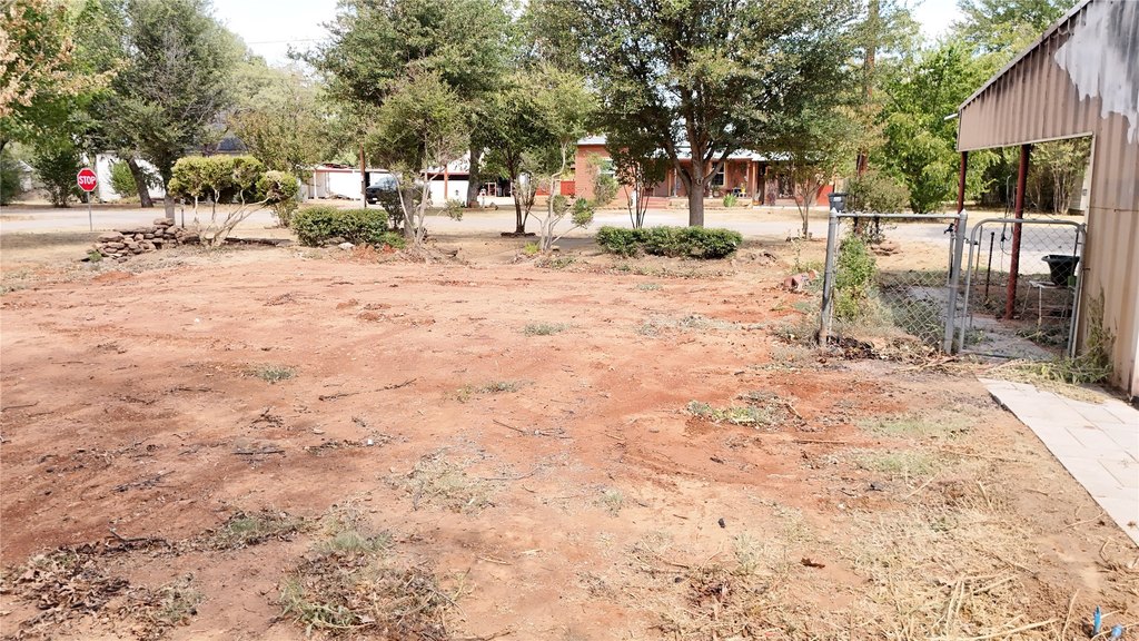 Picture 5