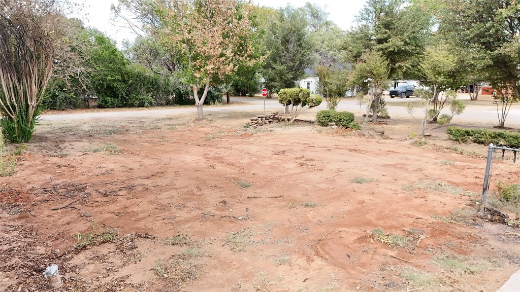 Picture 6
