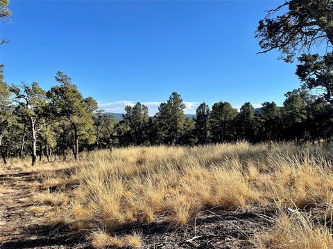 LAND - Pecos, NM