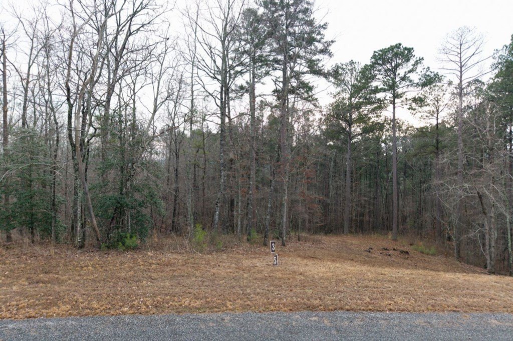 Picture 15