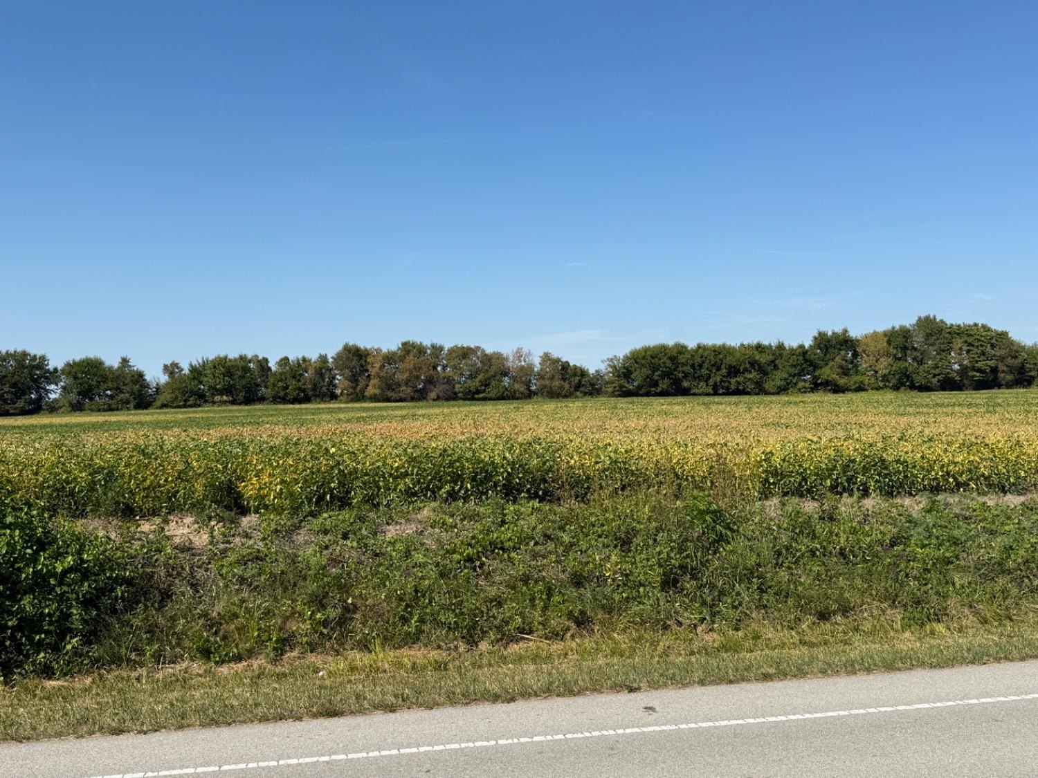 Land Near Brookville Lake
