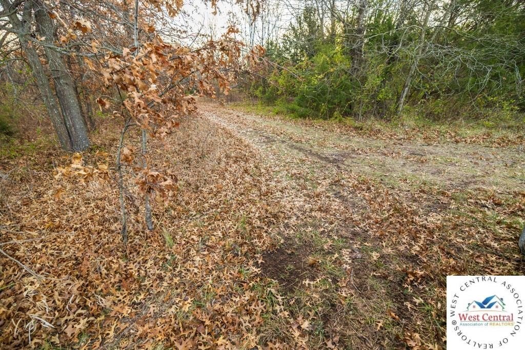 Picture 41