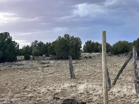 10 Acre Land in Show Low