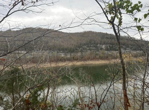 Lakefront Wooded Land Opportunity