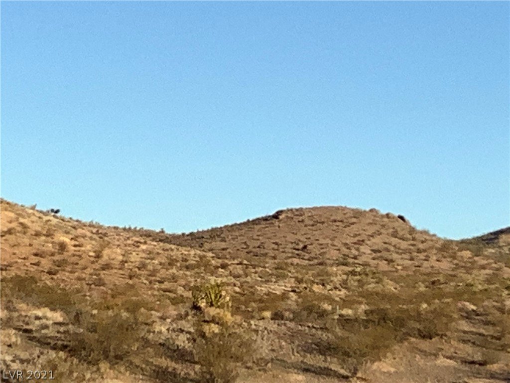 Picture 20