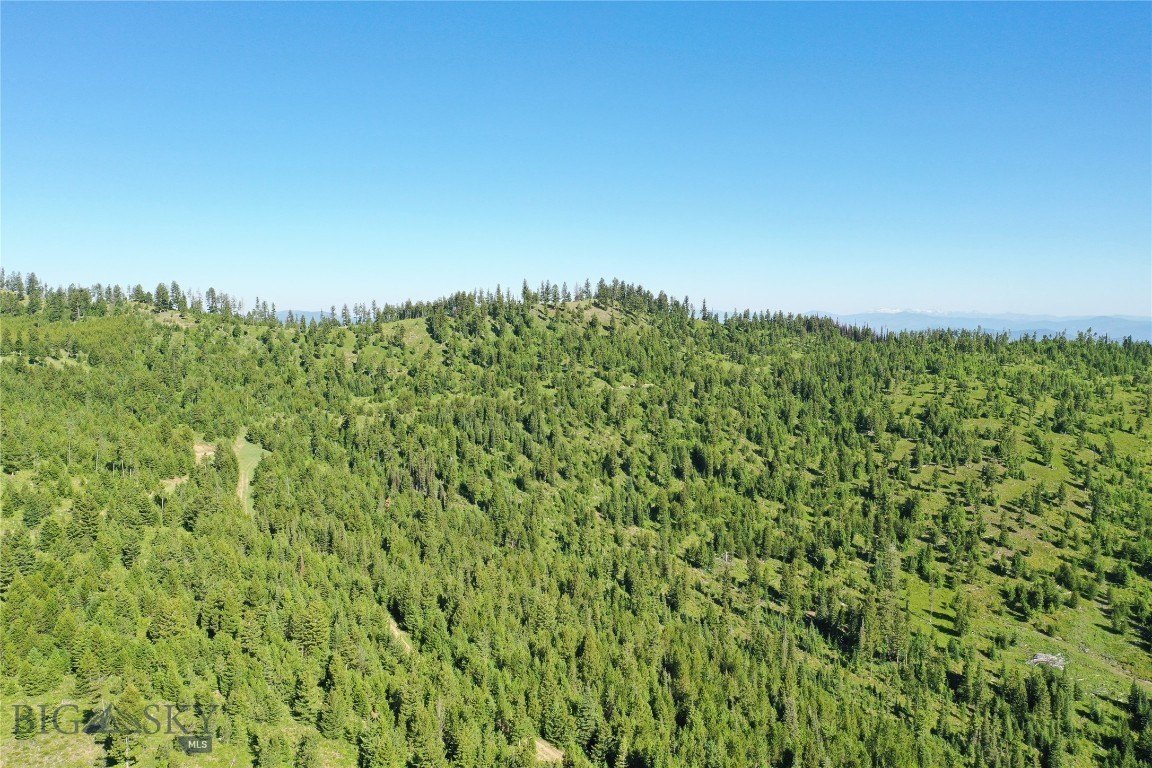 Expansive Montana Land For Sale