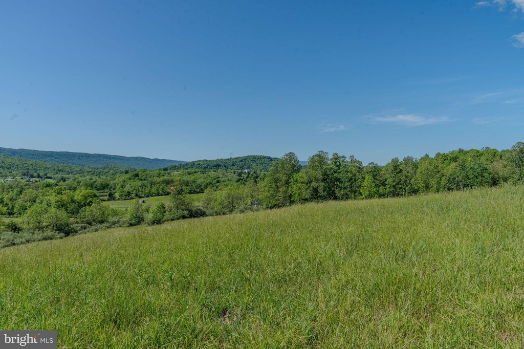 Picture 44