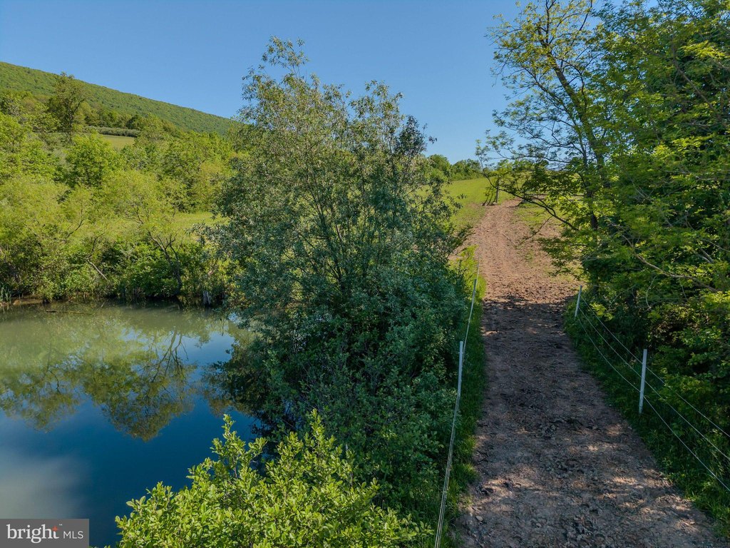 Picture 22