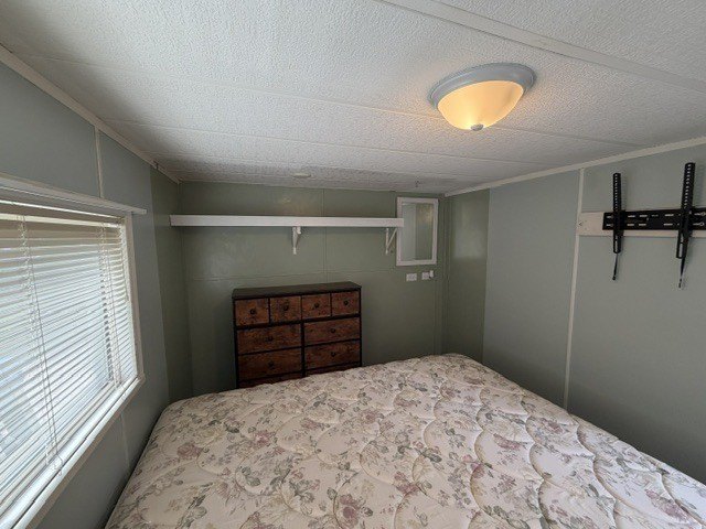 Picture 27