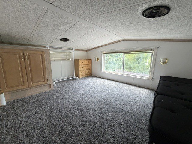 Picture 29