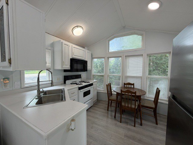 Picture 8