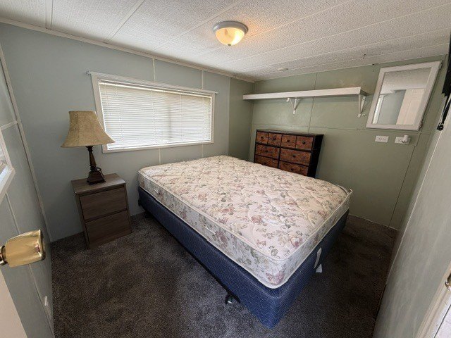 Picture 24