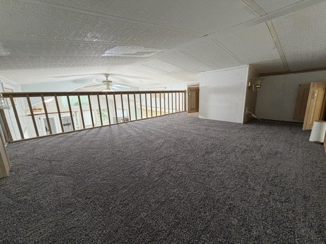 Picture 28