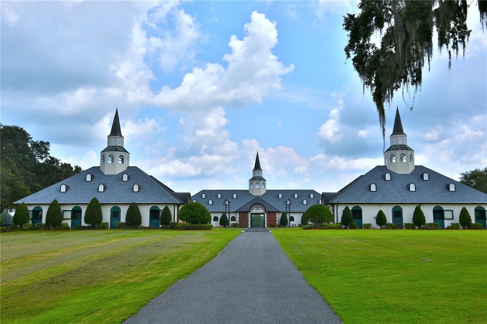 Luxury Equestrian Estate For Sale