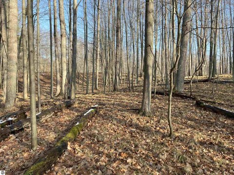 Buildable Lot in Canadian Lakes