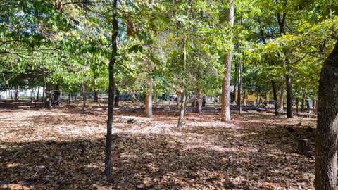 LAND, Holly Lake Ranch, TX