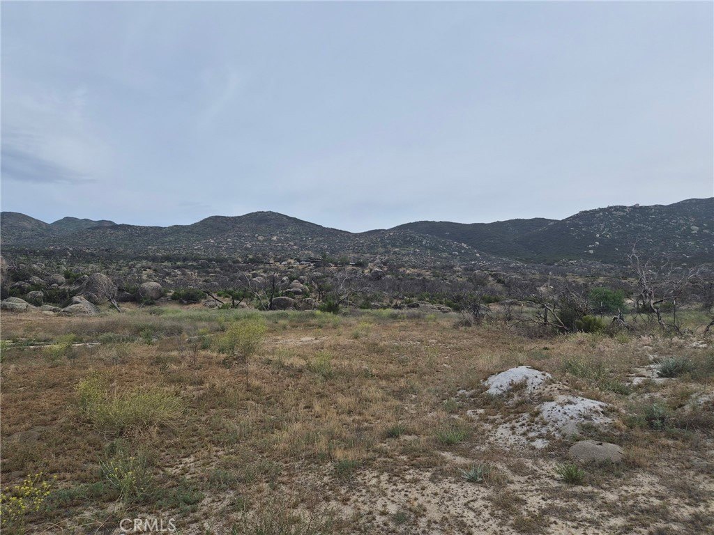 Picture 26