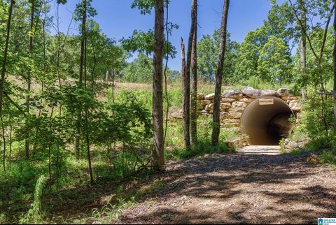LAND - CHELSEA, AL
