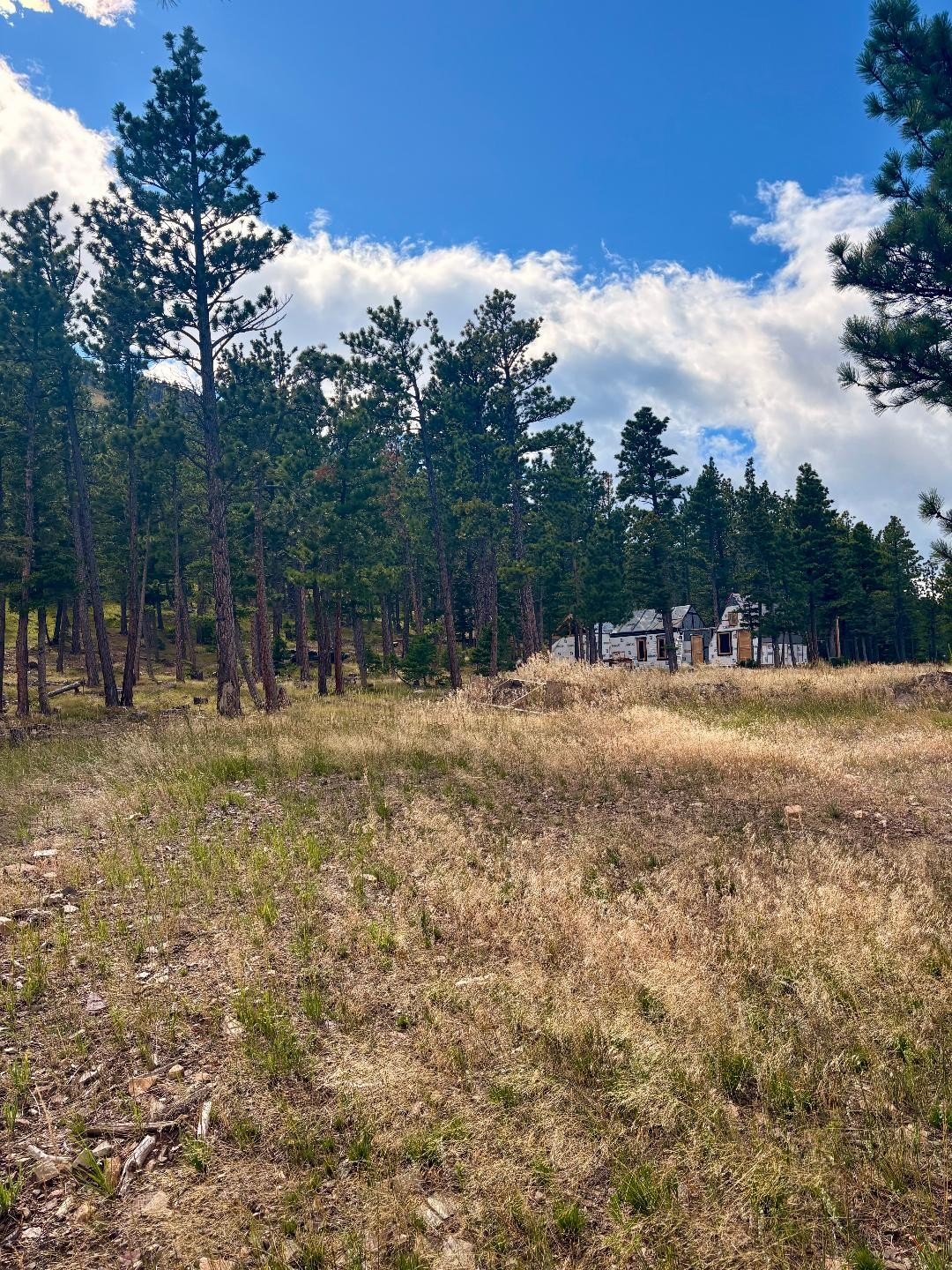 Wolf Creek Wooded Land