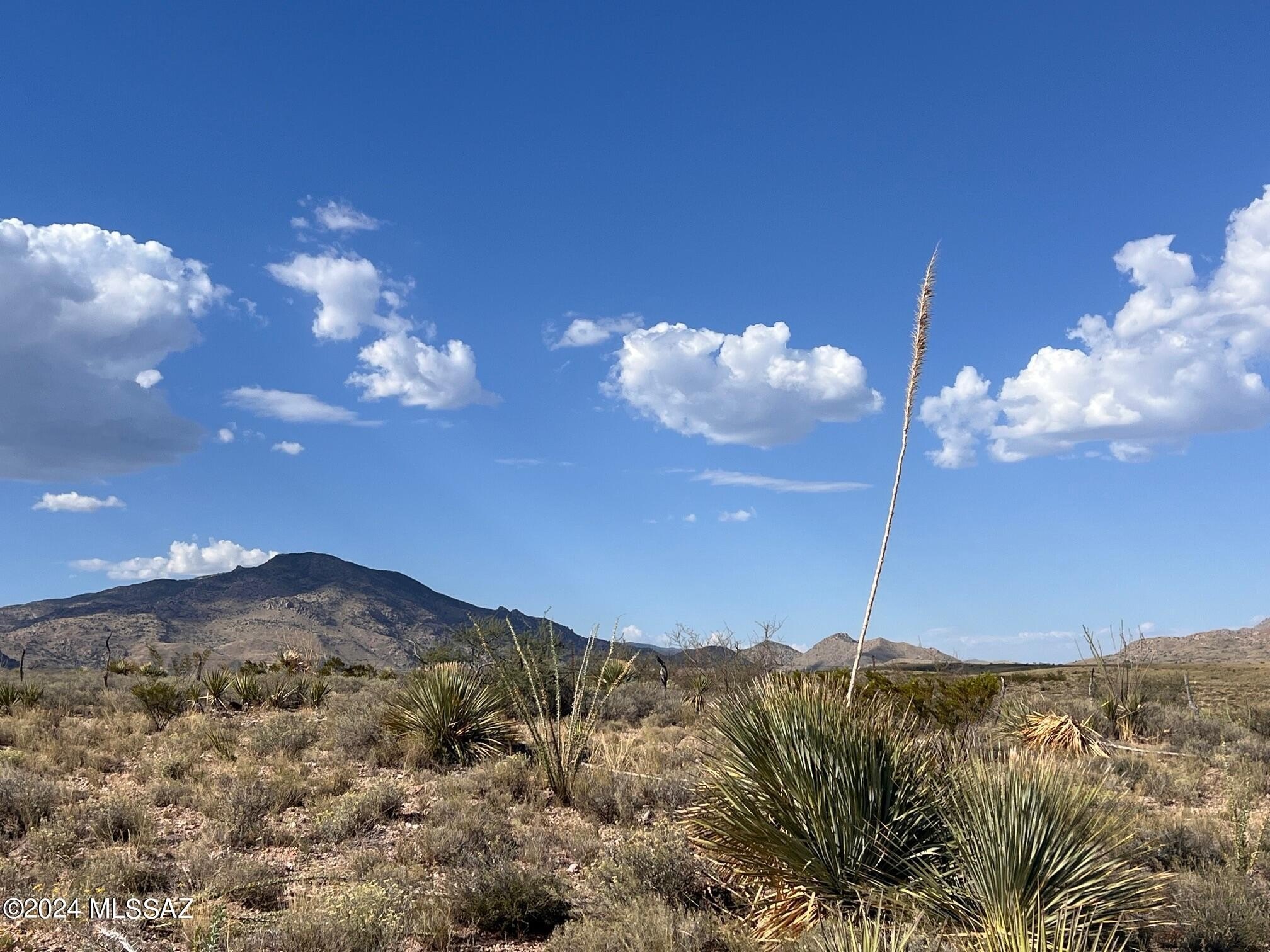 20 Acres Land in Benson