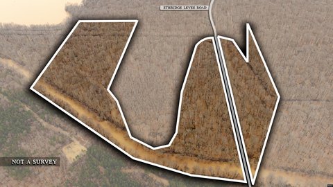 Greenfield Timber Tract For Sale