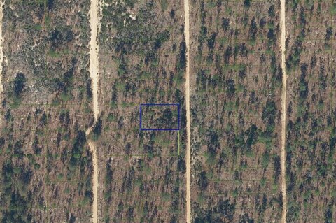 LAND - Interlachen, FL
