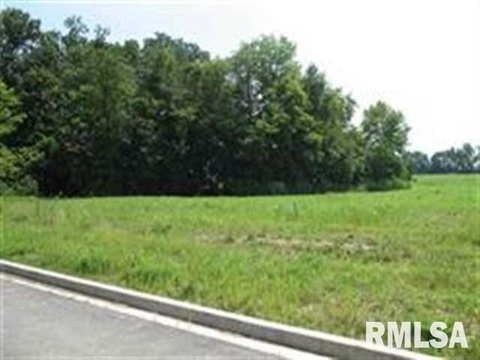 Residential Land in East Peoria