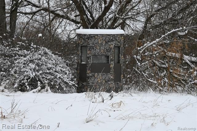 Picture 10