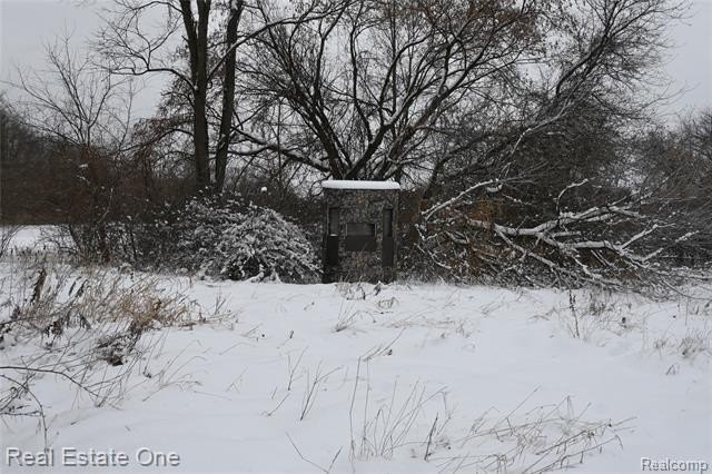 Picture 12